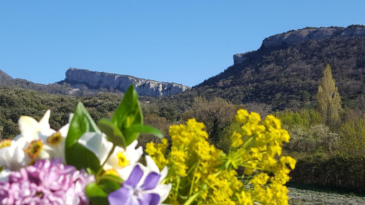 Un Petit Coin De Paradis Le Pegue Eksteriør bilde